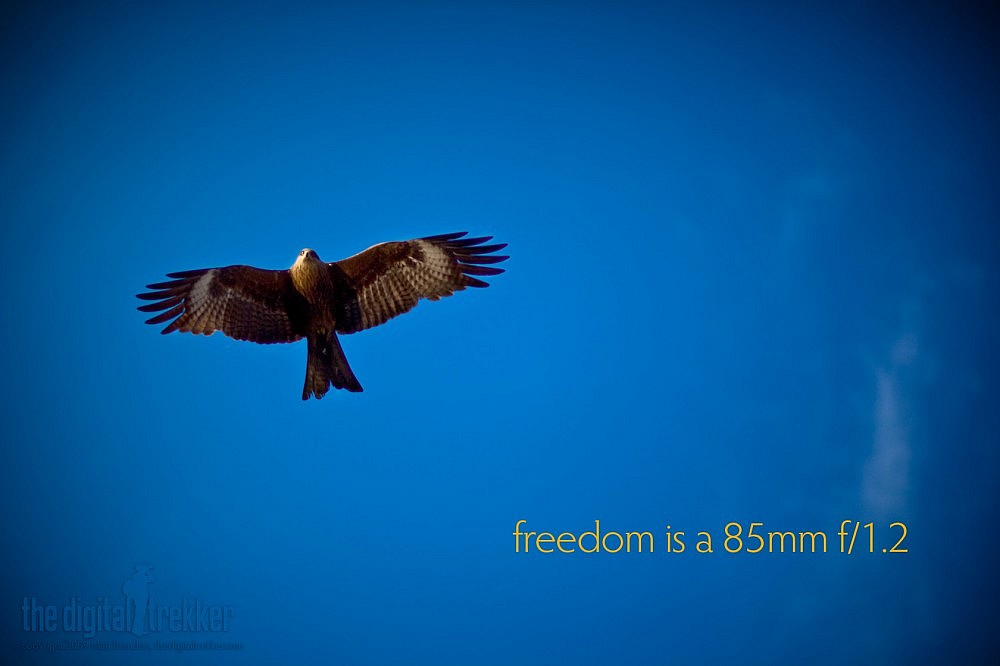 f/1.2, 1/5000 sec, at 85mm, 100 ISO, on a Canon EOS 5D Mark II