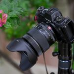 Fujinon XF 16-55 mm f/2.8 R LM WR with the tulip lens hood