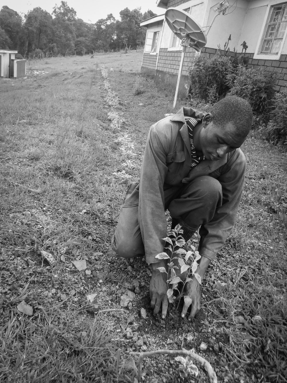 "The Gardener" Photographed by David Lemiso