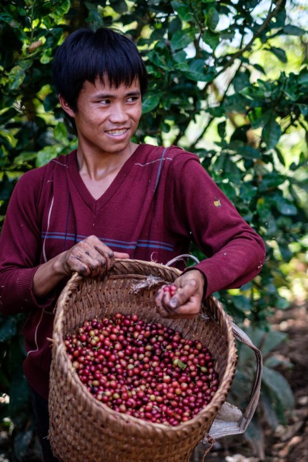 One of the many hill tribes farmers partnering with Saffron Coffee.