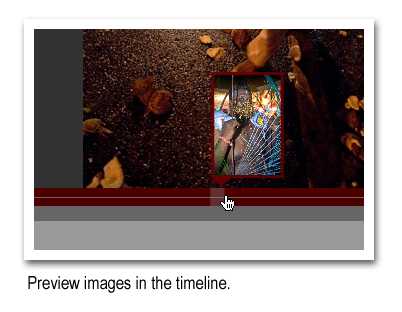 Thaipusam Multi-Media Gallery