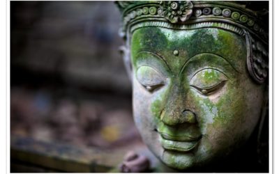 My Angkor