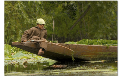 Teaching Others to Fish