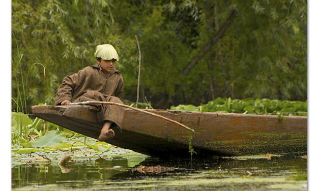 Teaching Others to Fish