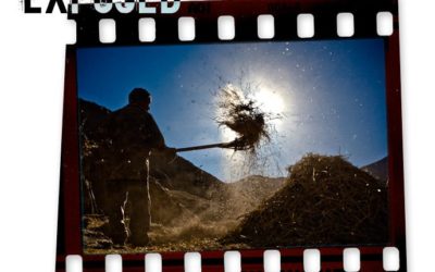 Exposed: Risking the Winnowing