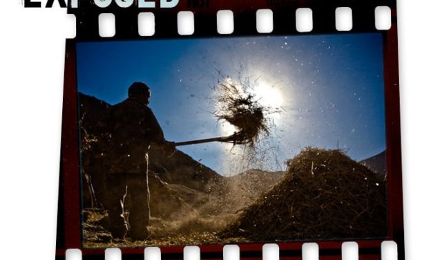Exposed: Risking the Winnowing