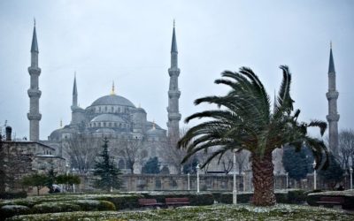 The Blue Mosque & The Ayasofya