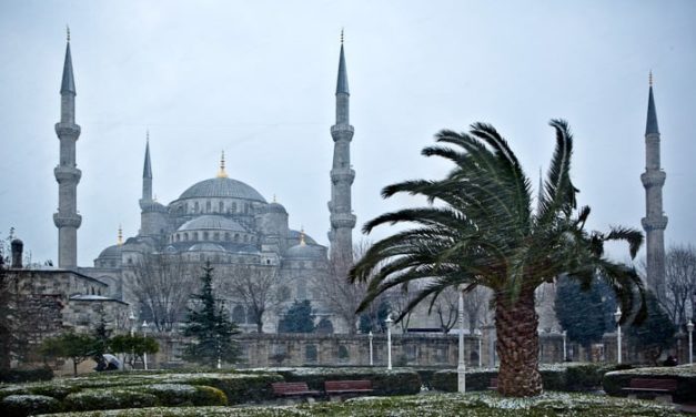 The Blue Mosque & The Ayasofya