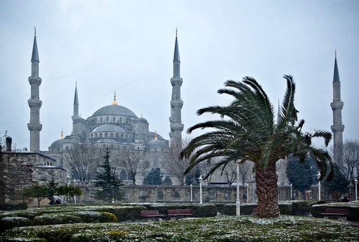 The Blue Mosque & The Ayasofya
