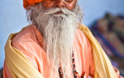 Sadhu Portrait #1