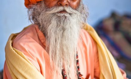 Sadhu Portrait #1