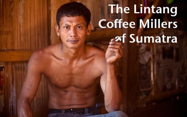 Multimedia: Lintang Coffee Millers of Sumatra