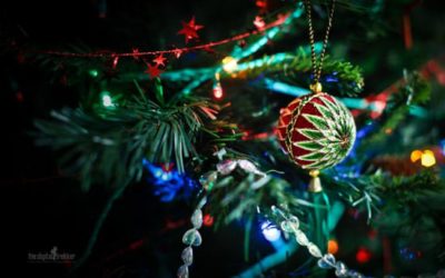 Wallpaper: December 2010