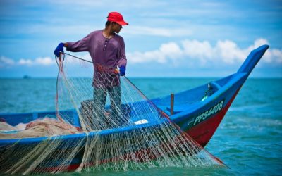 Empty Nets
