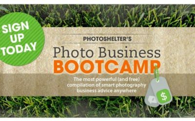 New deal from an old friend: PhotoShelter