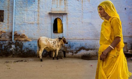 Jodhpur: The Blue City and Much More…