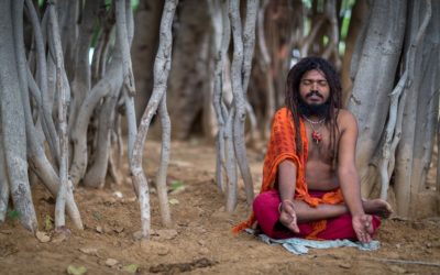 Neemrana: Forts, Snakes and Sadhus