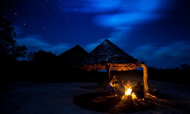 Kenya and Back