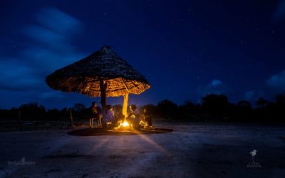 Wallpaper: Kenya at Night