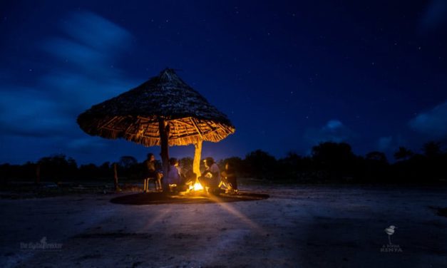 Wallpaper: Kenya at Night
