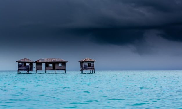 A Post Card From Borneo