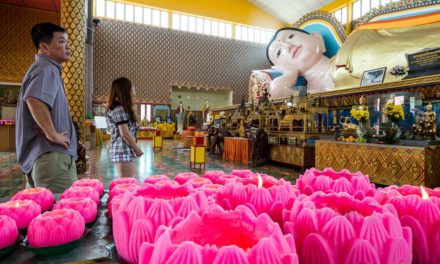 Review: The new Fujinon 14 mm f/2.8 The Missing Wide Link