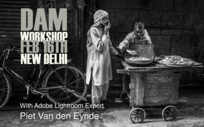 Another DAM Workshop!