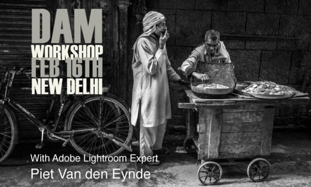 Another DAM Workshop!