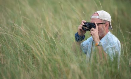 Fujifilm X – Switch or not To Switch