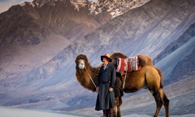 Ladakh Photo Trek Part 3