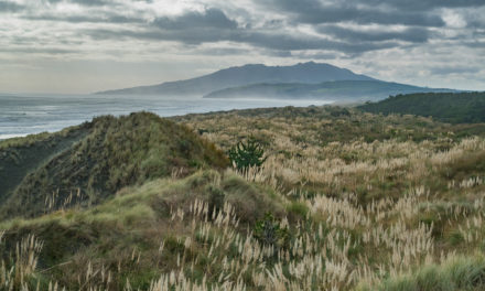 Postcard from New Zealand