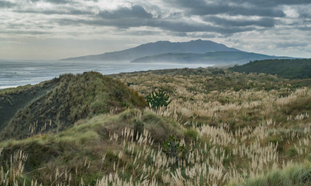 Postcard from New Zealand