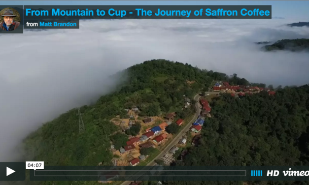 Saffron Coffee Shoot